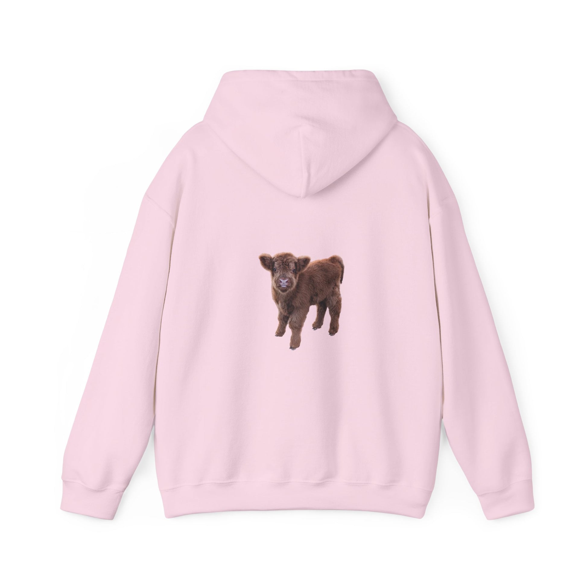 Highland Calf Hoodie