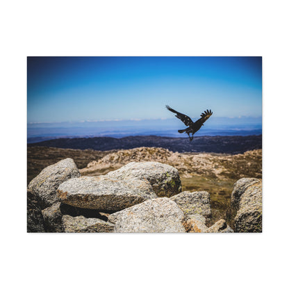 Little Raven Mt Kosciuszko Canvas Print 32" x 24" (Horizontal) 1.25"