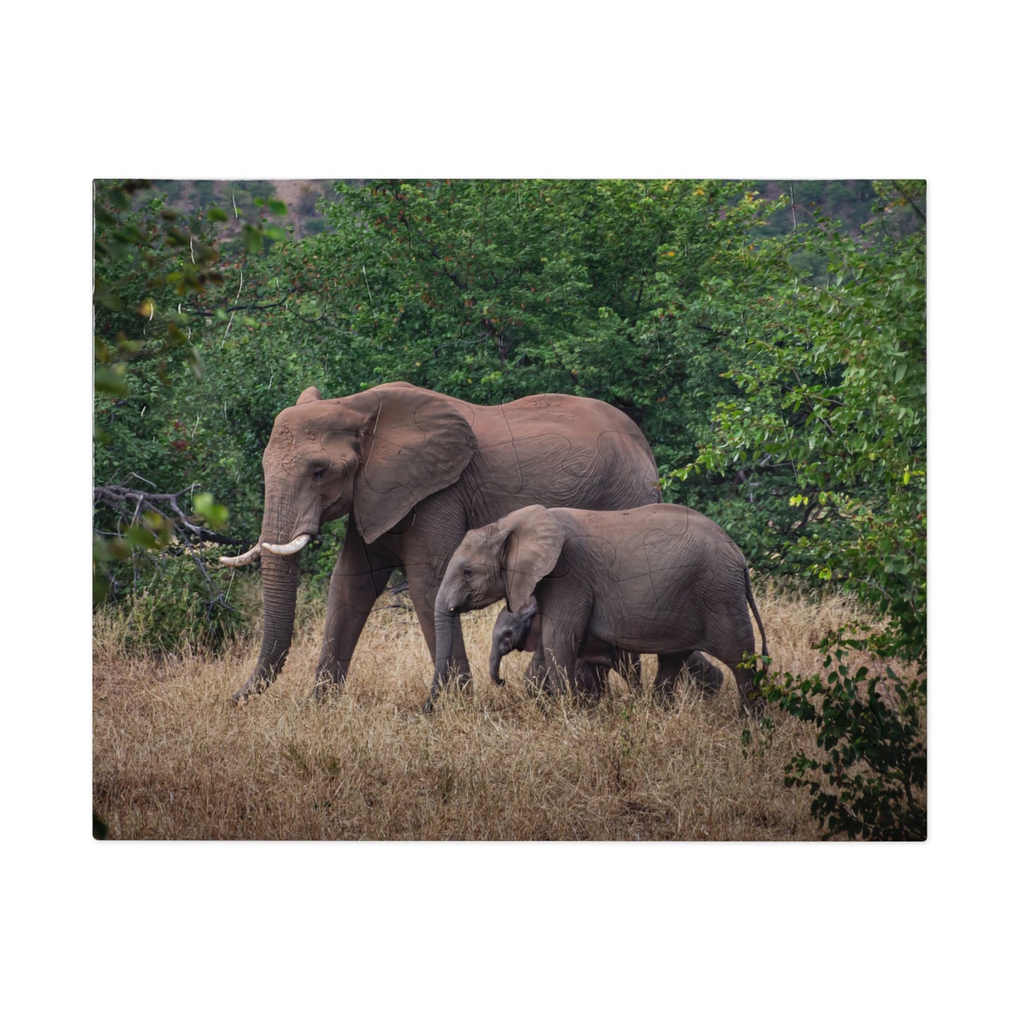 Jigsaw Puzzle (30, 110, 252, 500, 1000 Piece) - Elephant Family