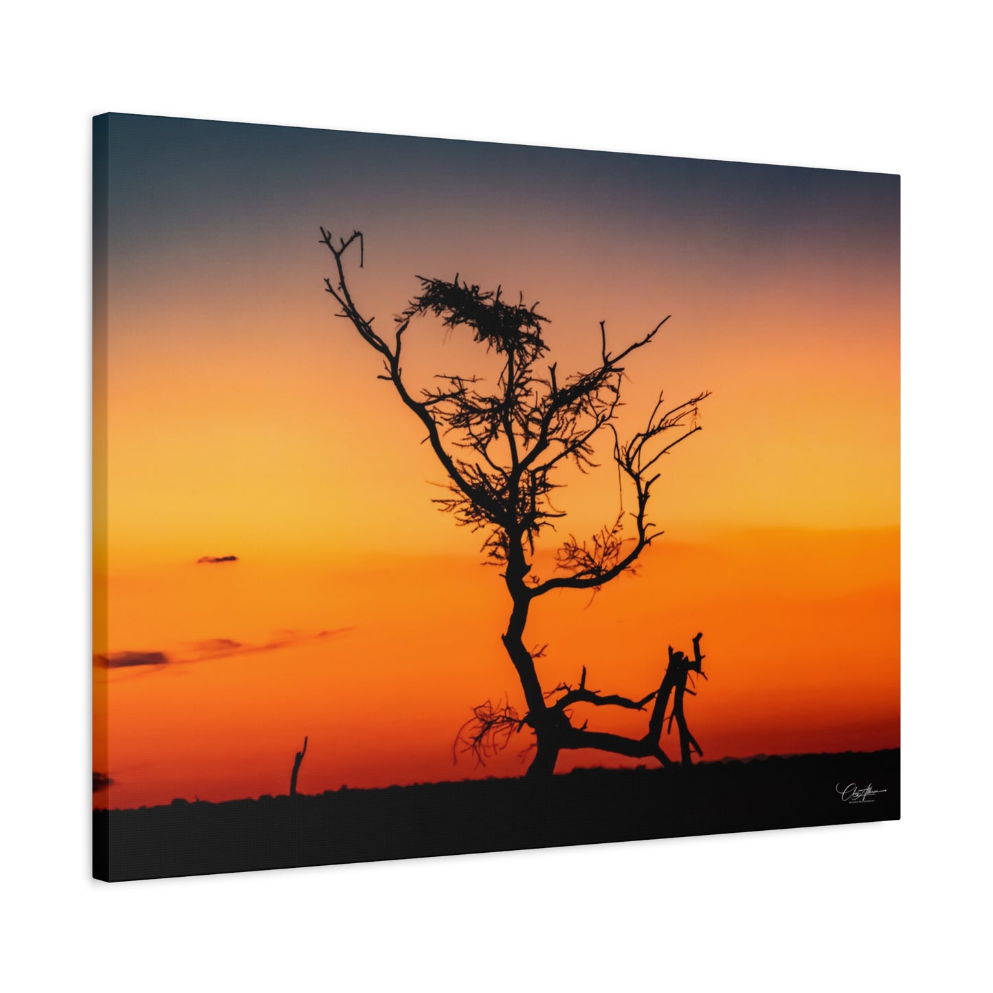 Matte Canvas, Stretched, 1.25" - Sunset over the Kalahari