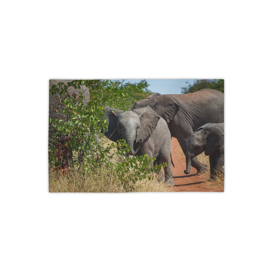 African Elephant Beach Towels 18" x 27"