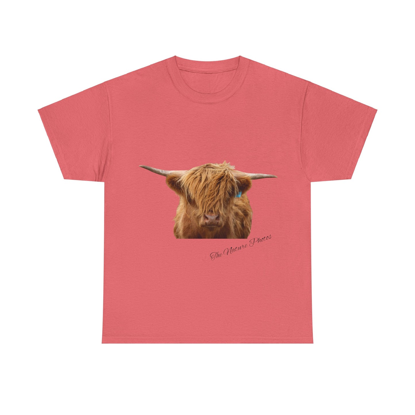 Highland Cow Tee Coral Silk