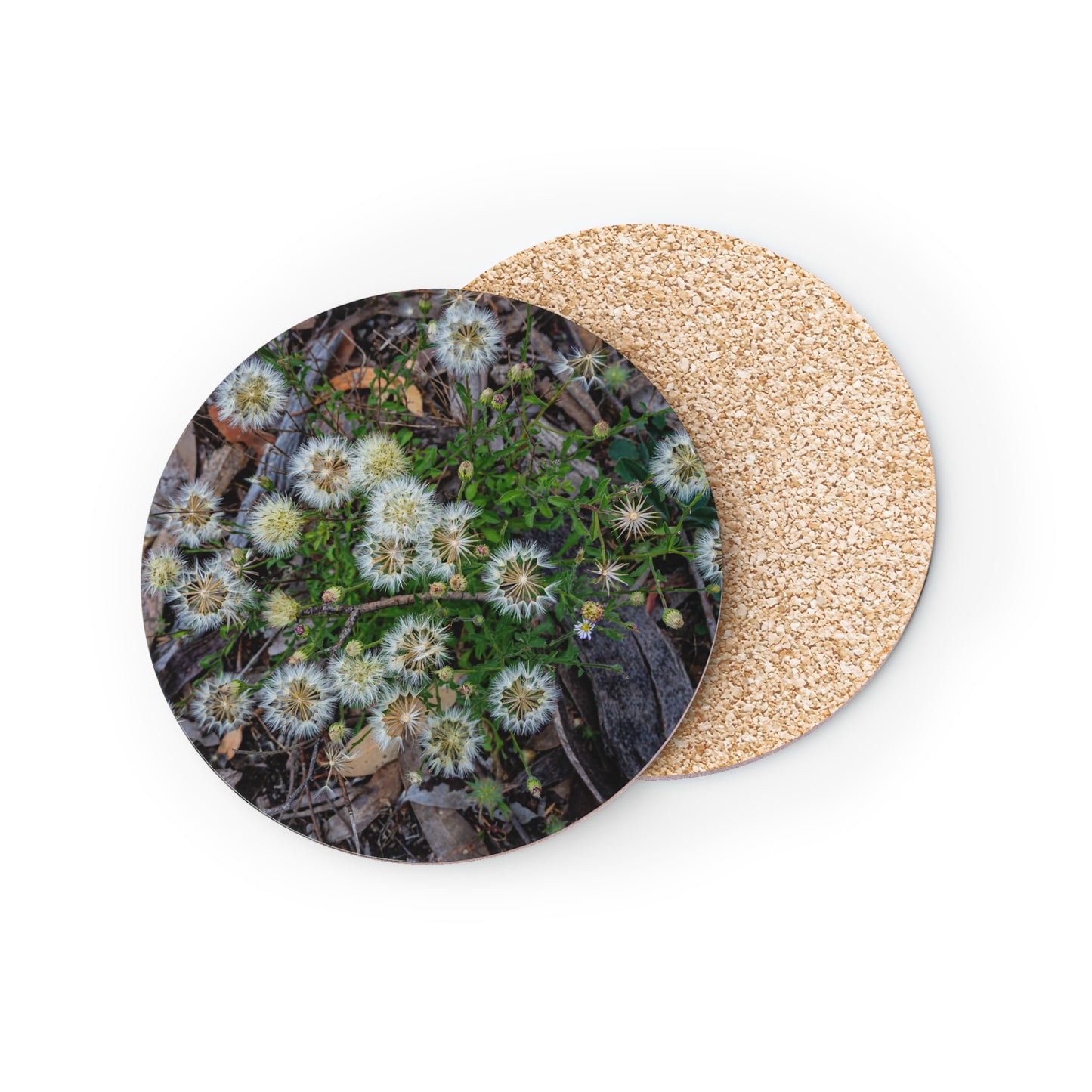 Australian Wildflower Coasters Round 3.7" x 3.7" 1pc