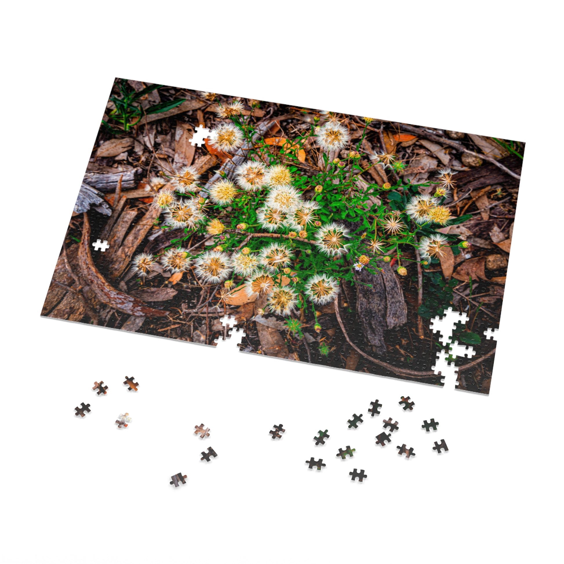Australian Wildflower Jigsaw Puzzle 2000 piece