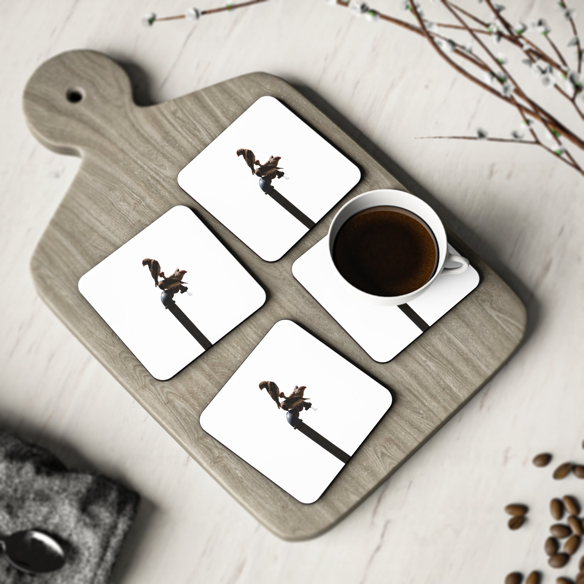 African Birds Coasters