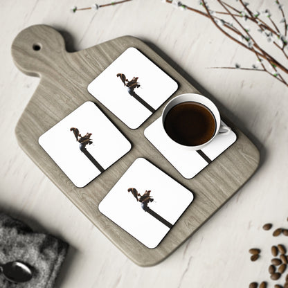 African Birds Coasters