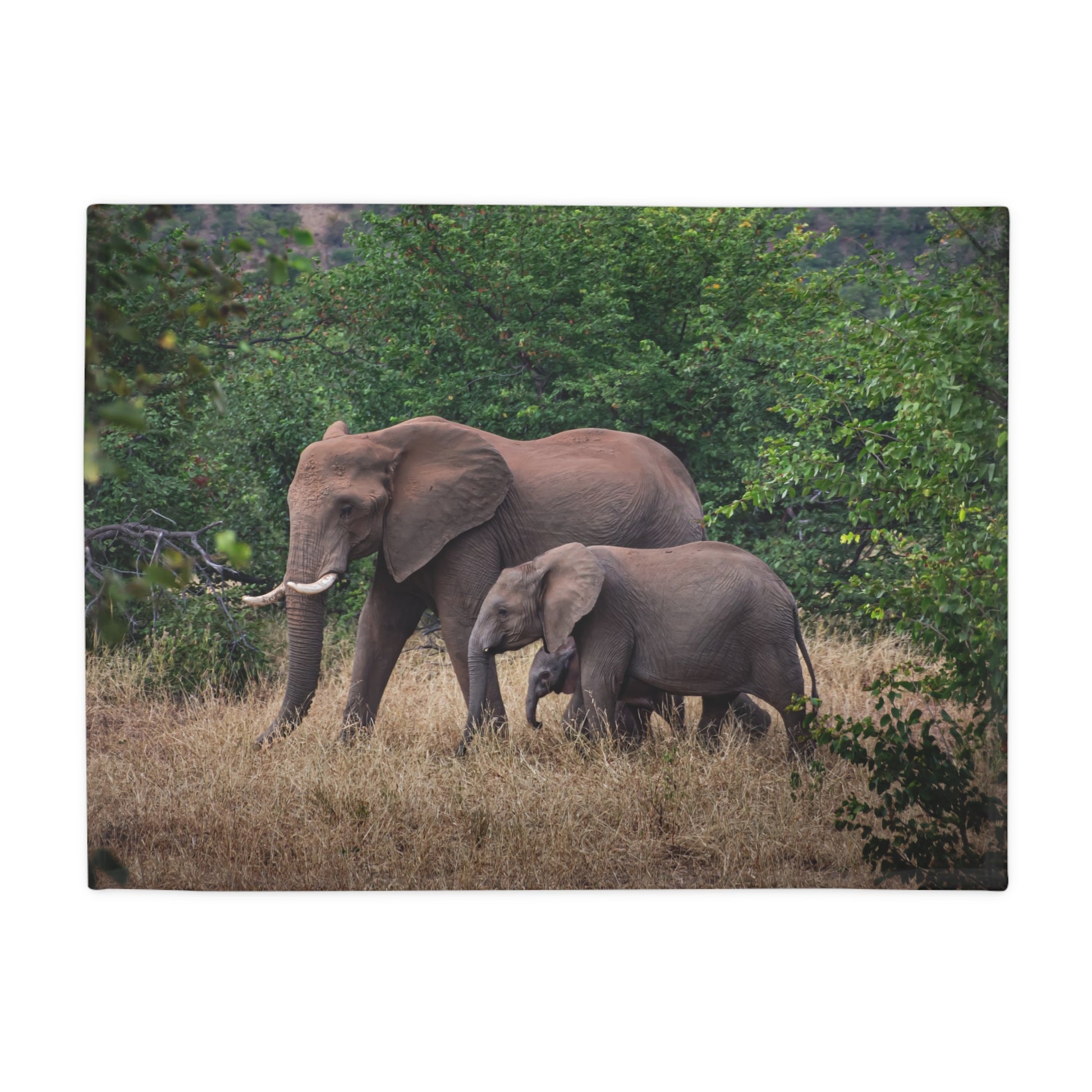 Family of Elephants Fleece Blanket 30" × 40"