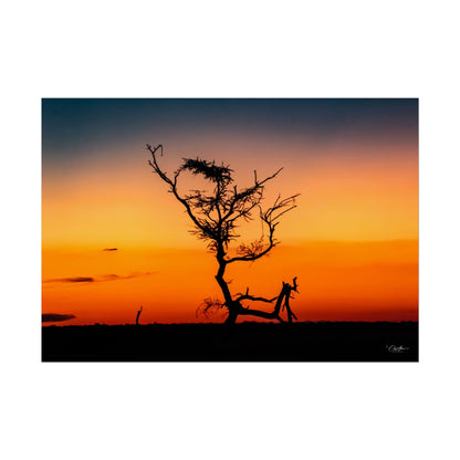 Rolled Posters - Sunset over the Kalahari 40" x 28" (Horizontal) Semi Glossy