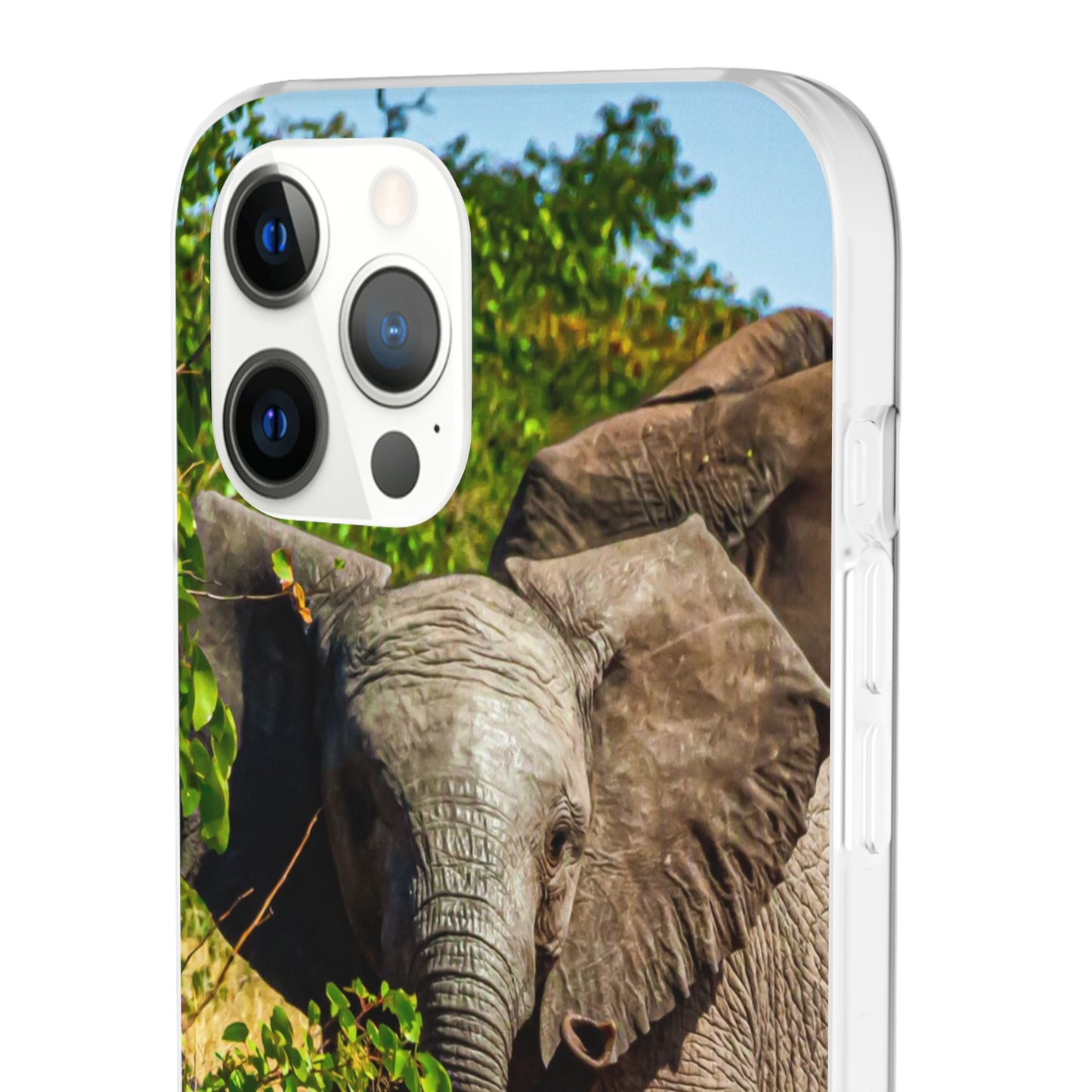 Flexible Young Elephant Cases