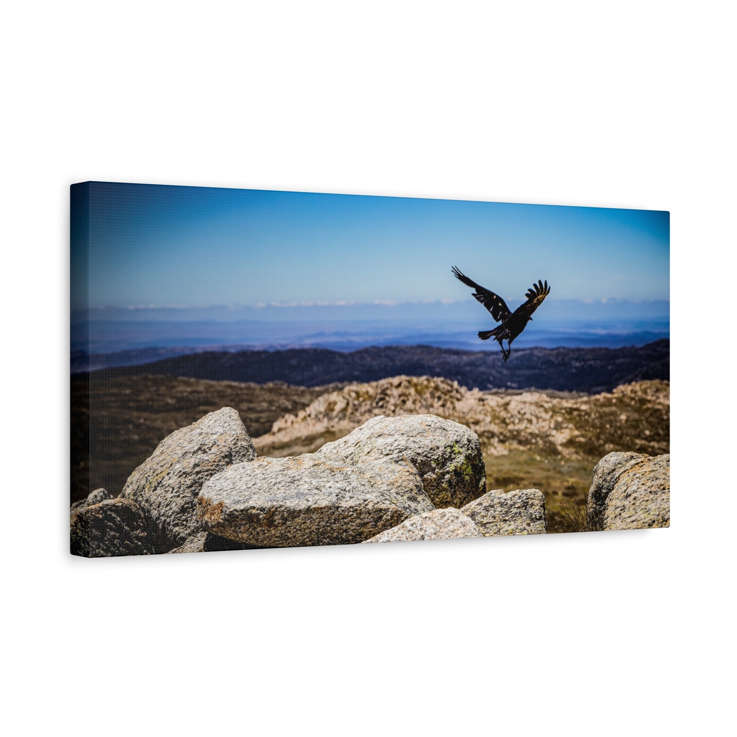 Little Raven Mt Kosciuszko Canvas Print