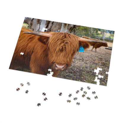 Scottish Highland Cattle Puzzle with Tin