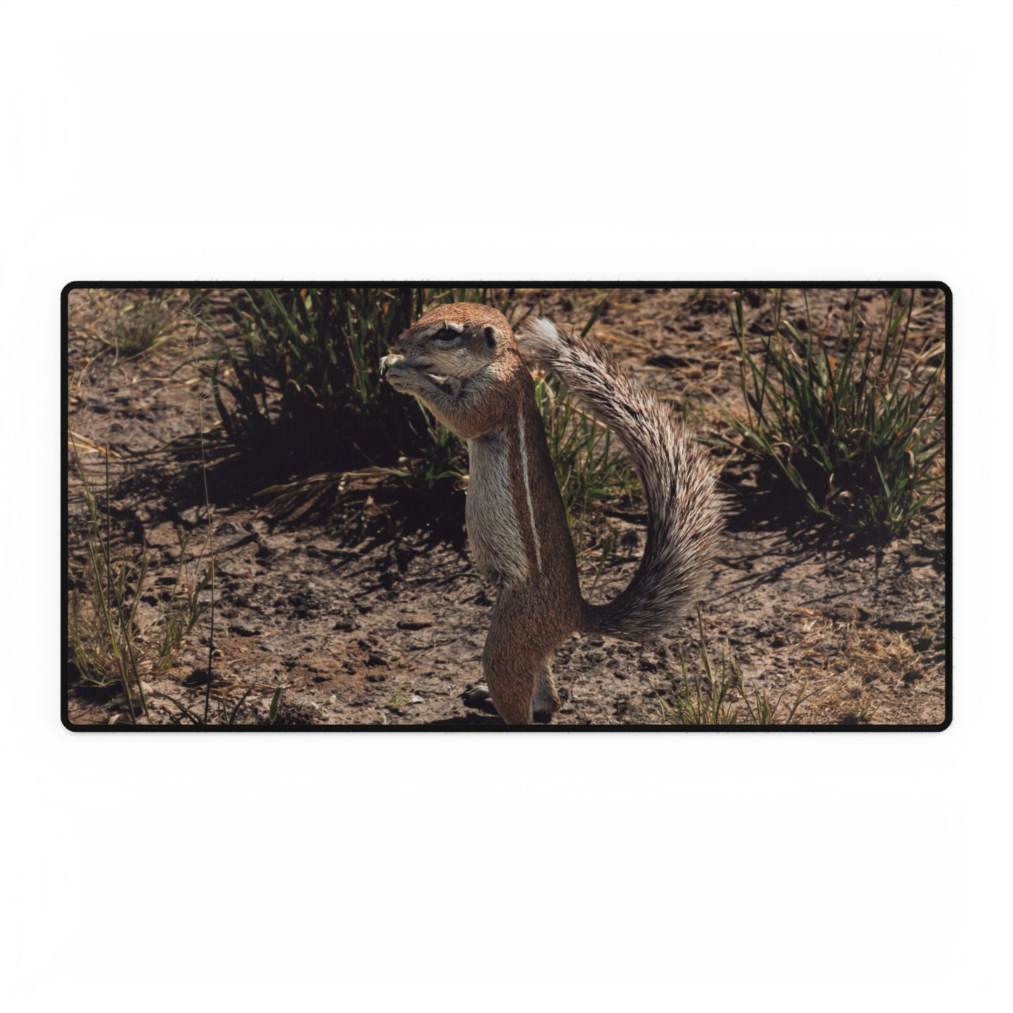 Desk Mats - Ground Squirrel