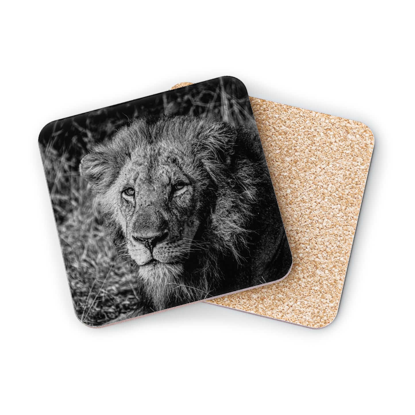 Male Lion Coasters B&W Square 3.7" x 3.7" 1pc