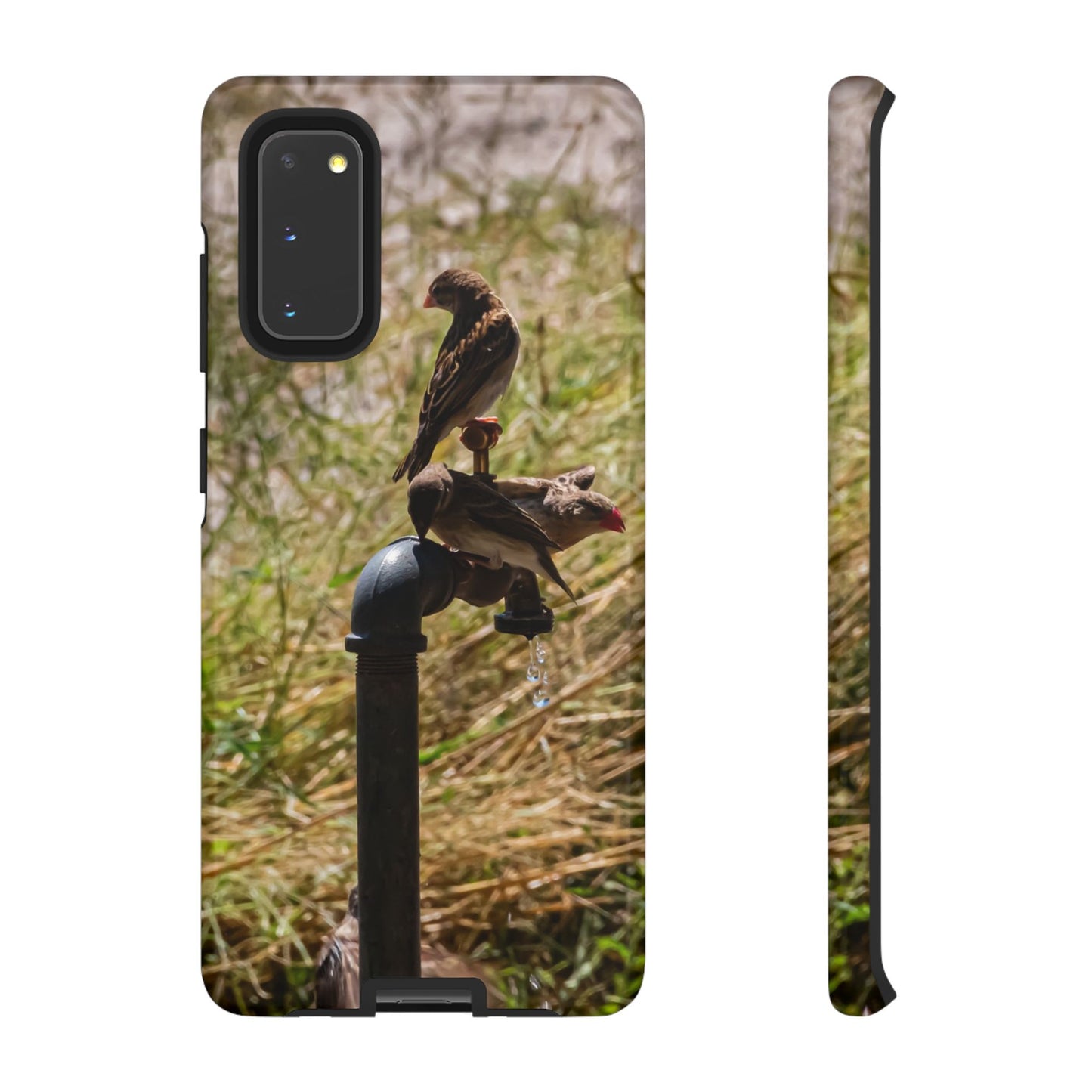 Tough Case - Birds at A Dripping Tap Samsung Galaxy S20 Glossy