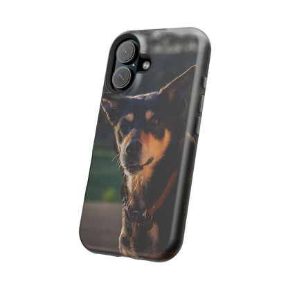 Magsafe® Compatible Tough Cases - Saba The Kelpie