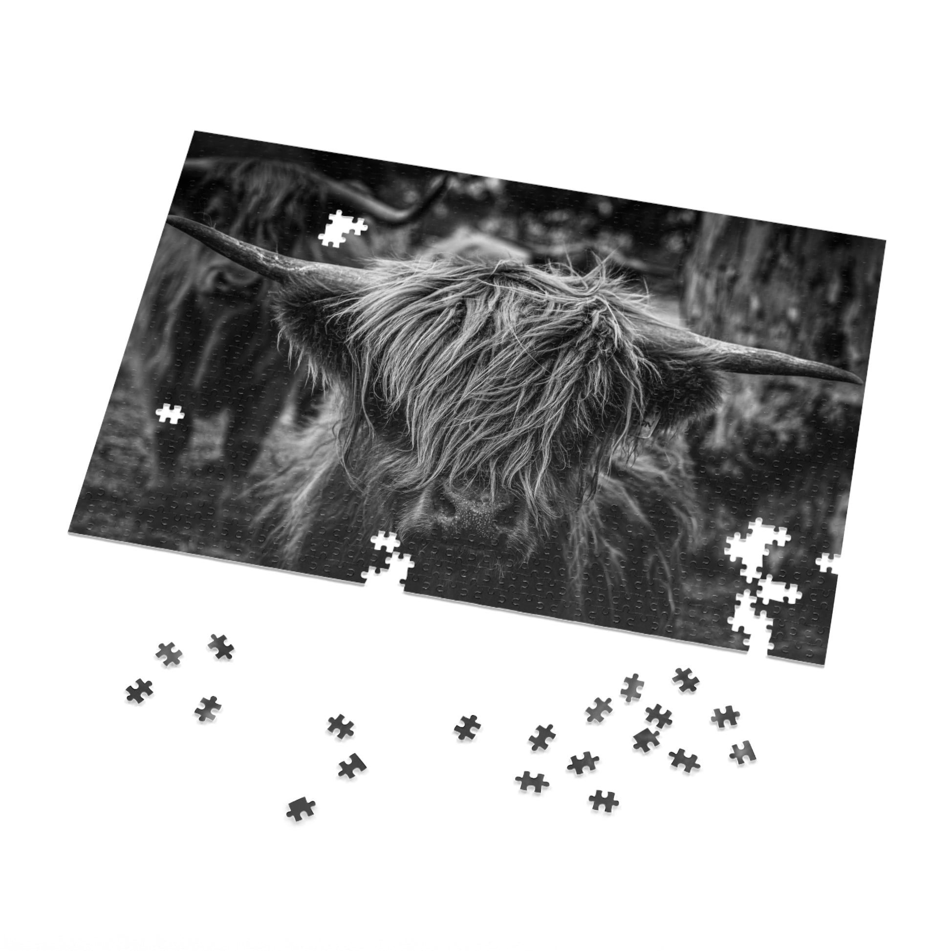 Scottish Highland Cattle Puzzle with Tin B&W