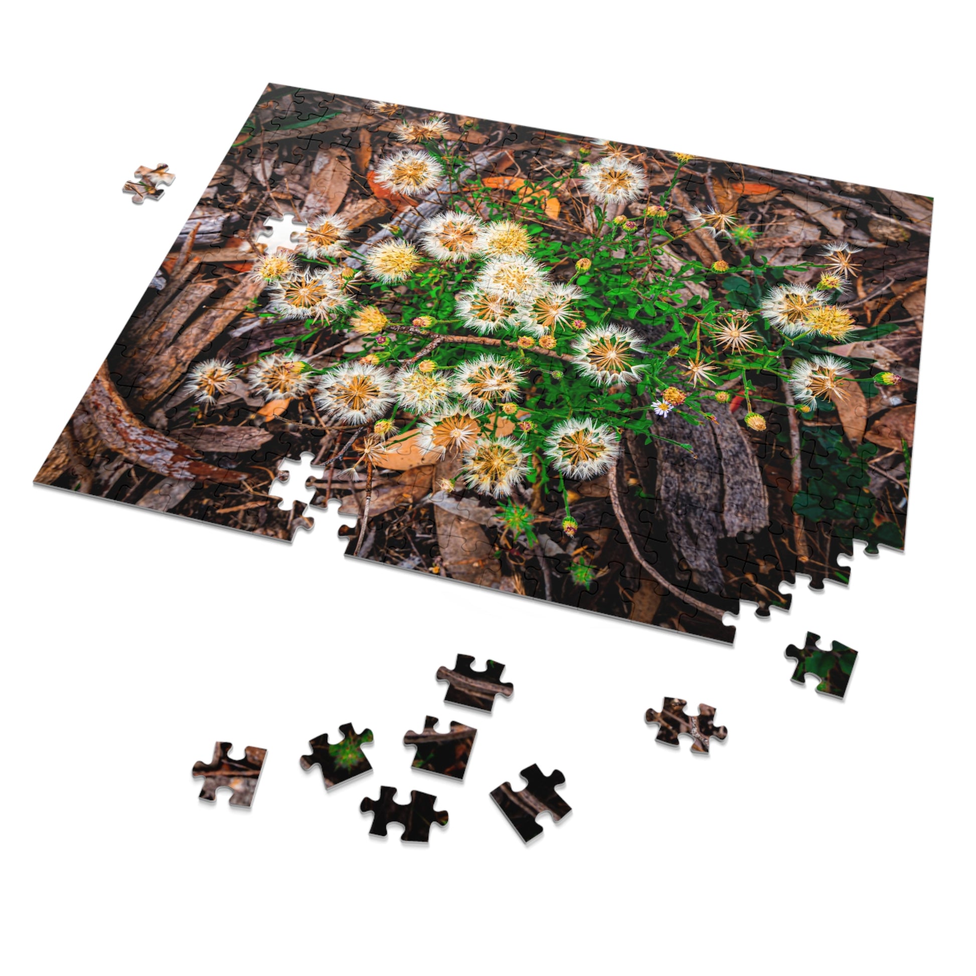 Australian Wildflower Jigsaw Puzzle 2000 piece
