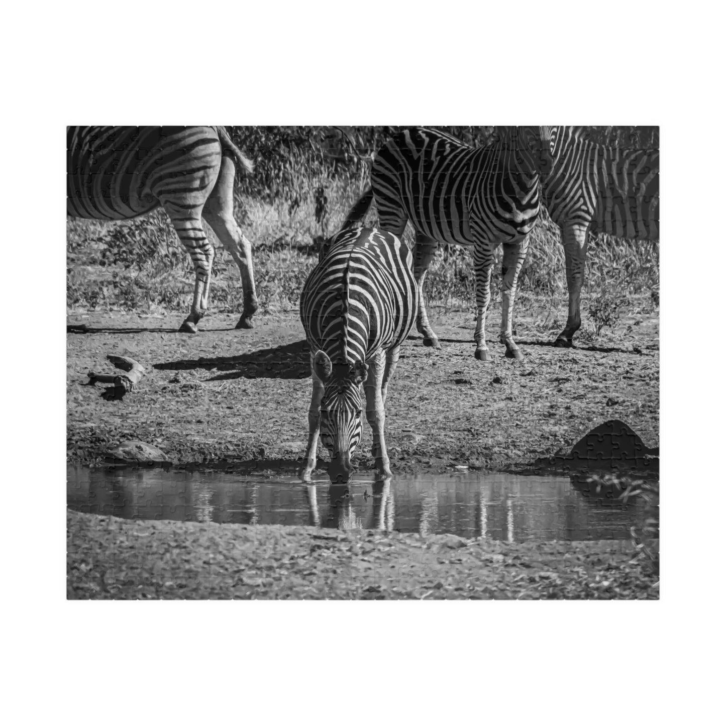 African Zebra Jigsaw Puzzle B&W