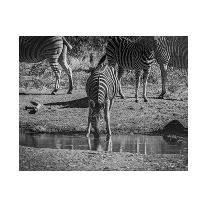 African Zebra Jigsaw Puzzle B&W