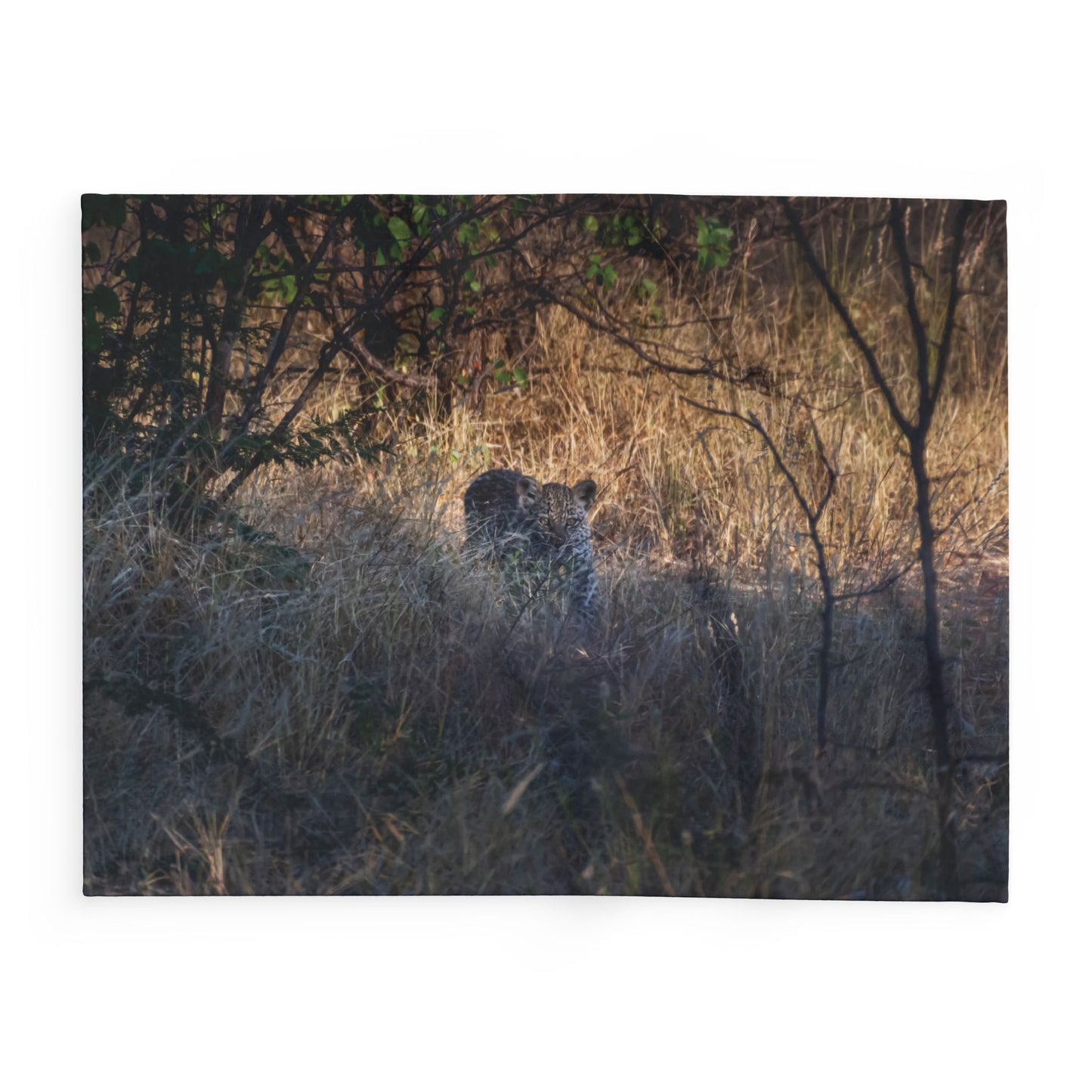 Arctic Fleece Blanket - Leopard Cub