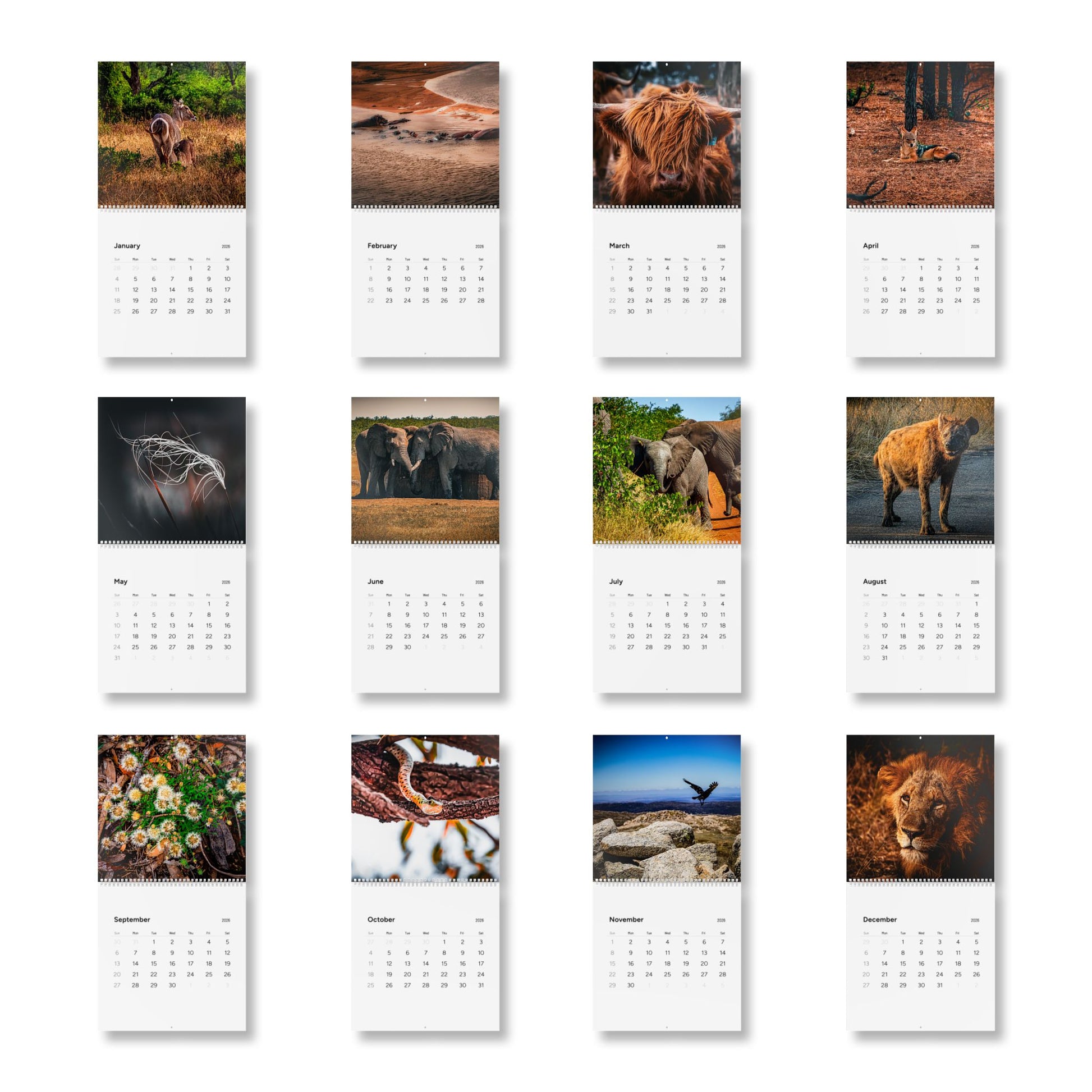 2026 Nature Wildlife Wall Calendar