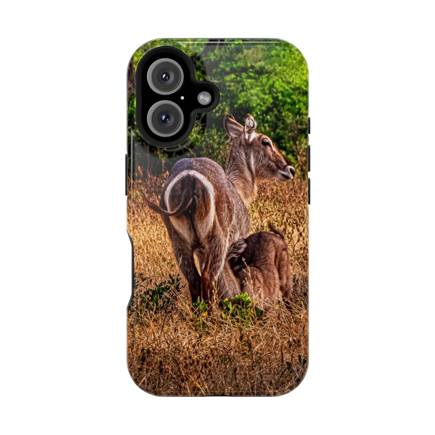 Waterbuck Baby Animal Phone Case - Magsafe iPhone 16 Glossy