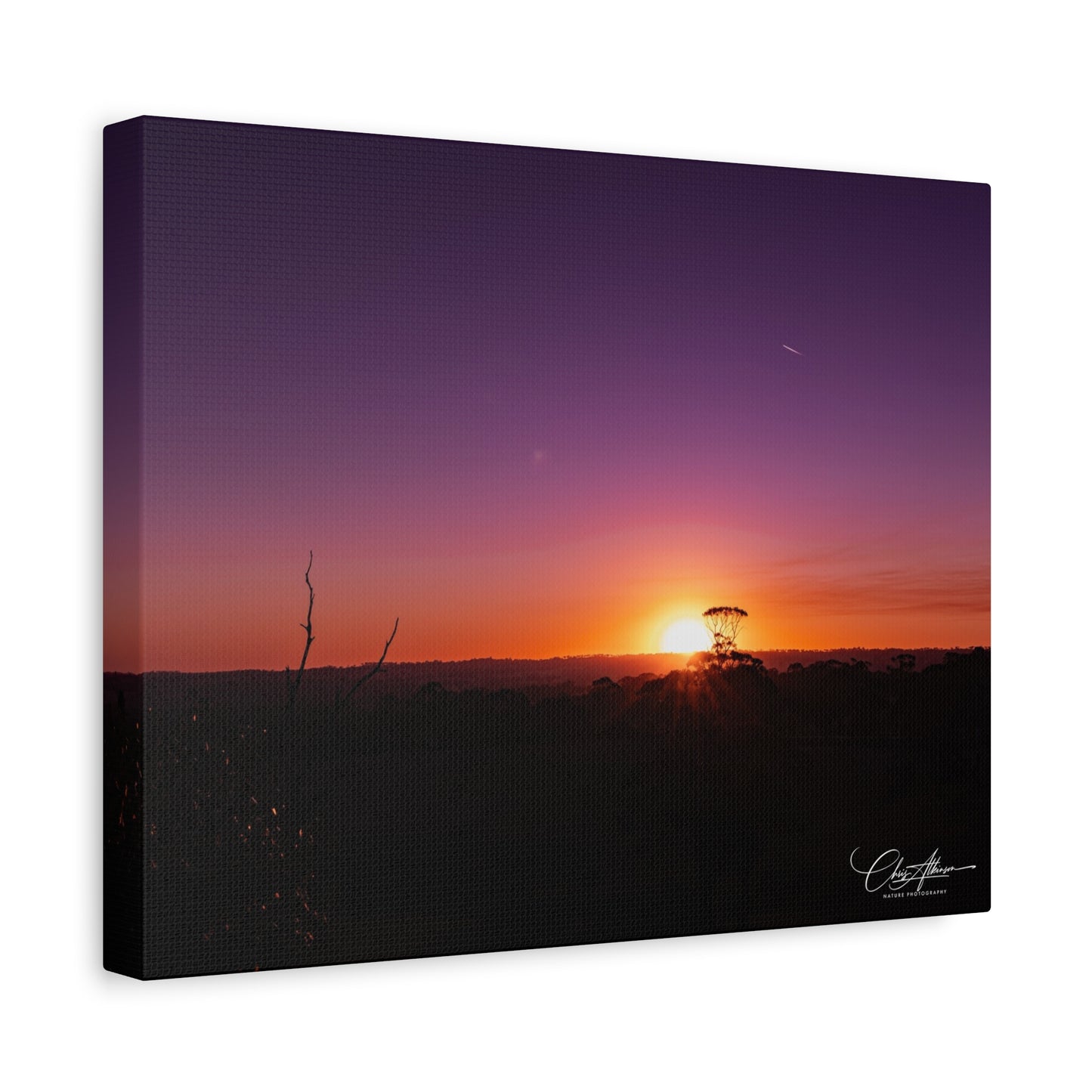 Matte Canvas, Stretched, 1.25" - Purple Sunset