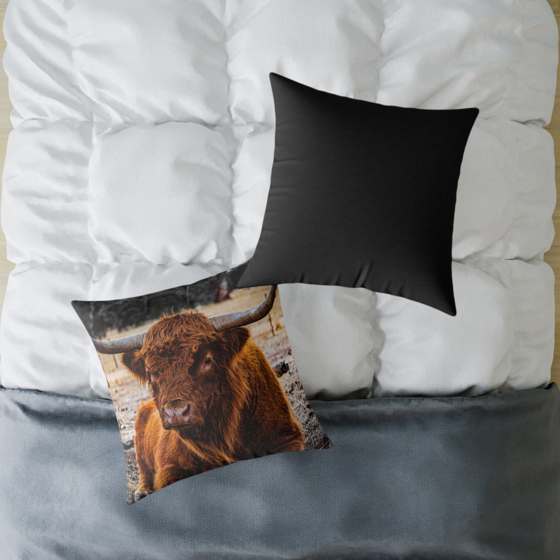 Highland Cattle Pillow