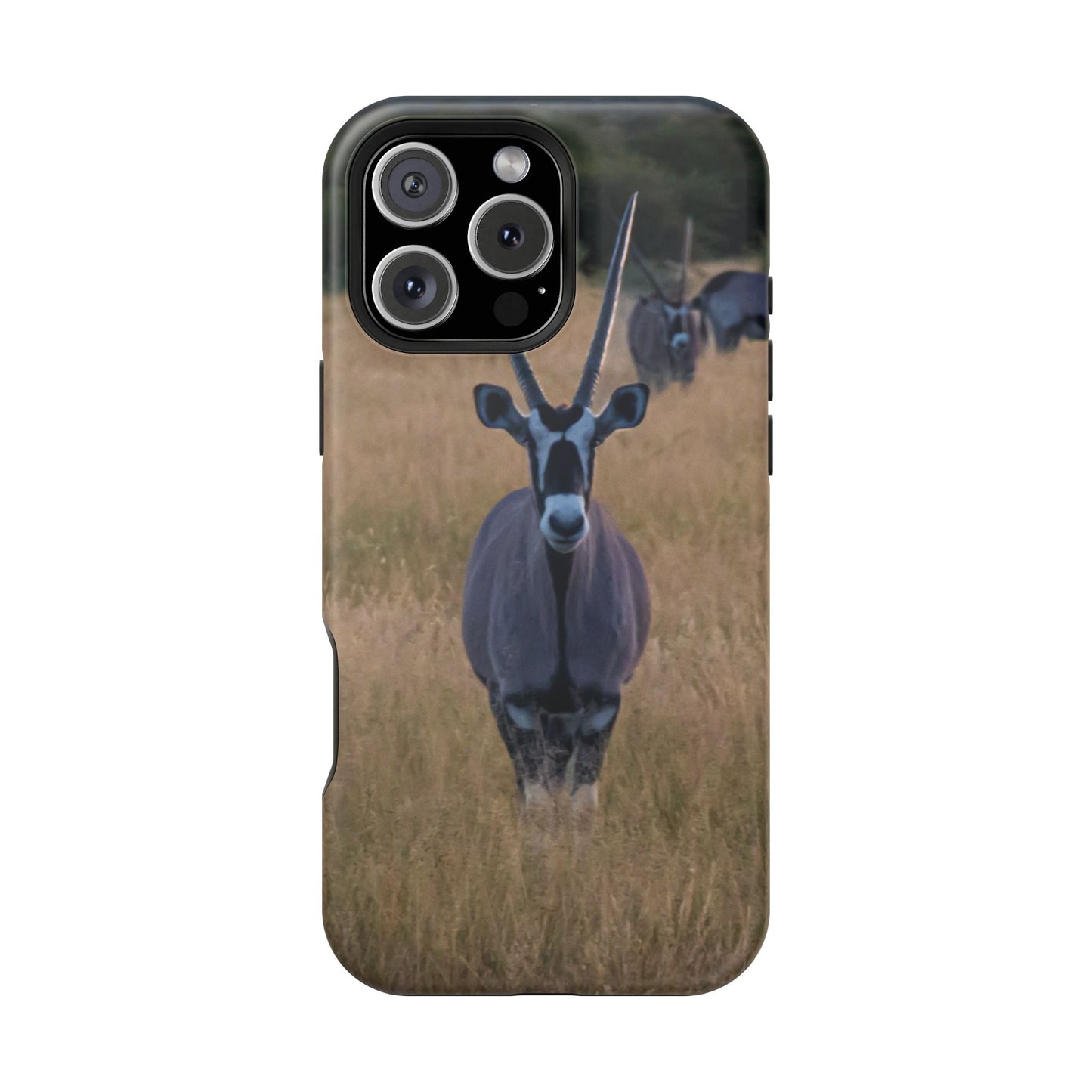 Gemsbok Oryx Magsafe Case iPhone 16 Pro Max Matte