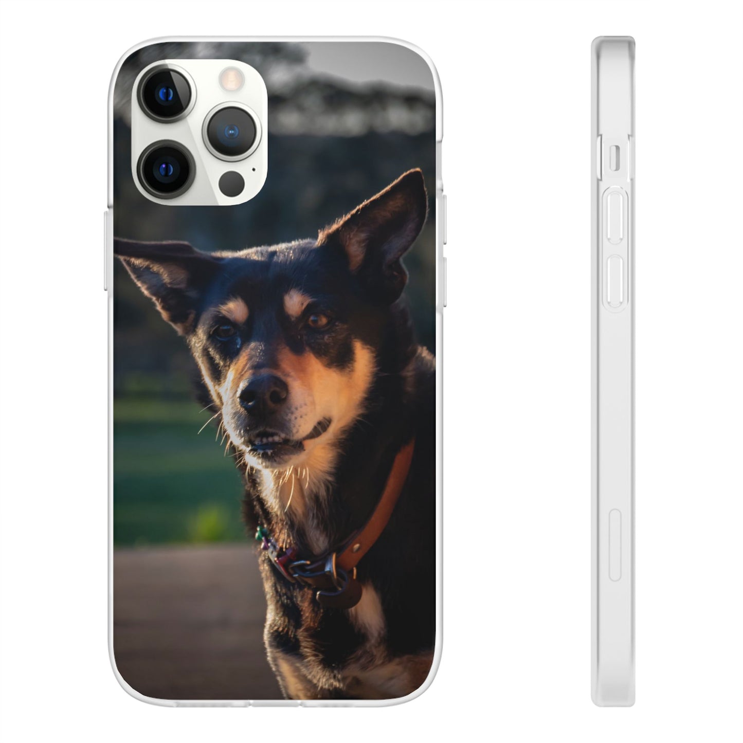 Kelpie Dog Flexi Case iPhone 12 Pro
