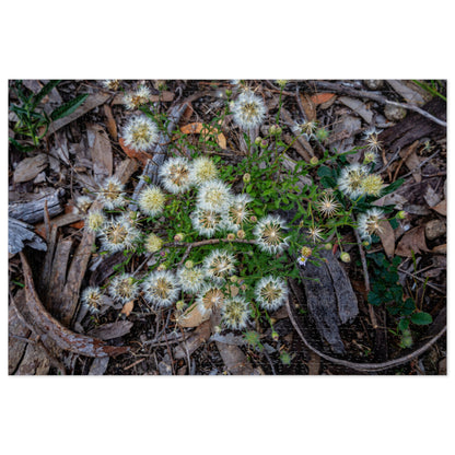 Jigsaw Puzzle (30, 110, 252, 500, 1000 Piece) - Australian Wildflower Collection