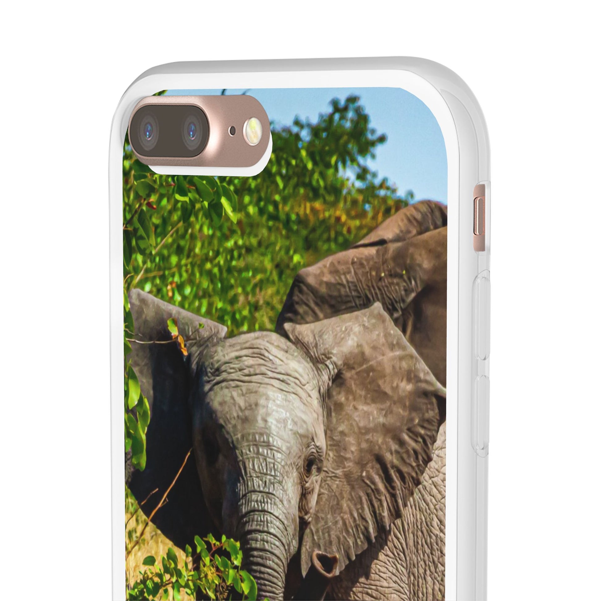 Flexible Young Elephant Cases