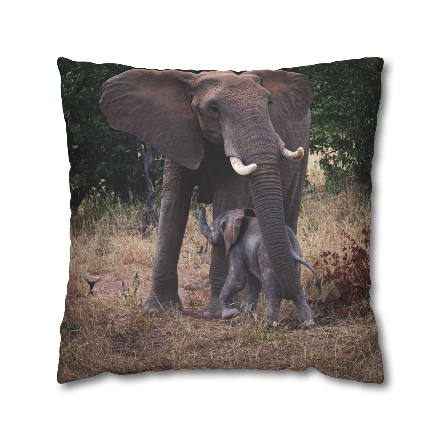 Poly Canvas Pillowcase - Elephant and Calf 24" × 24"