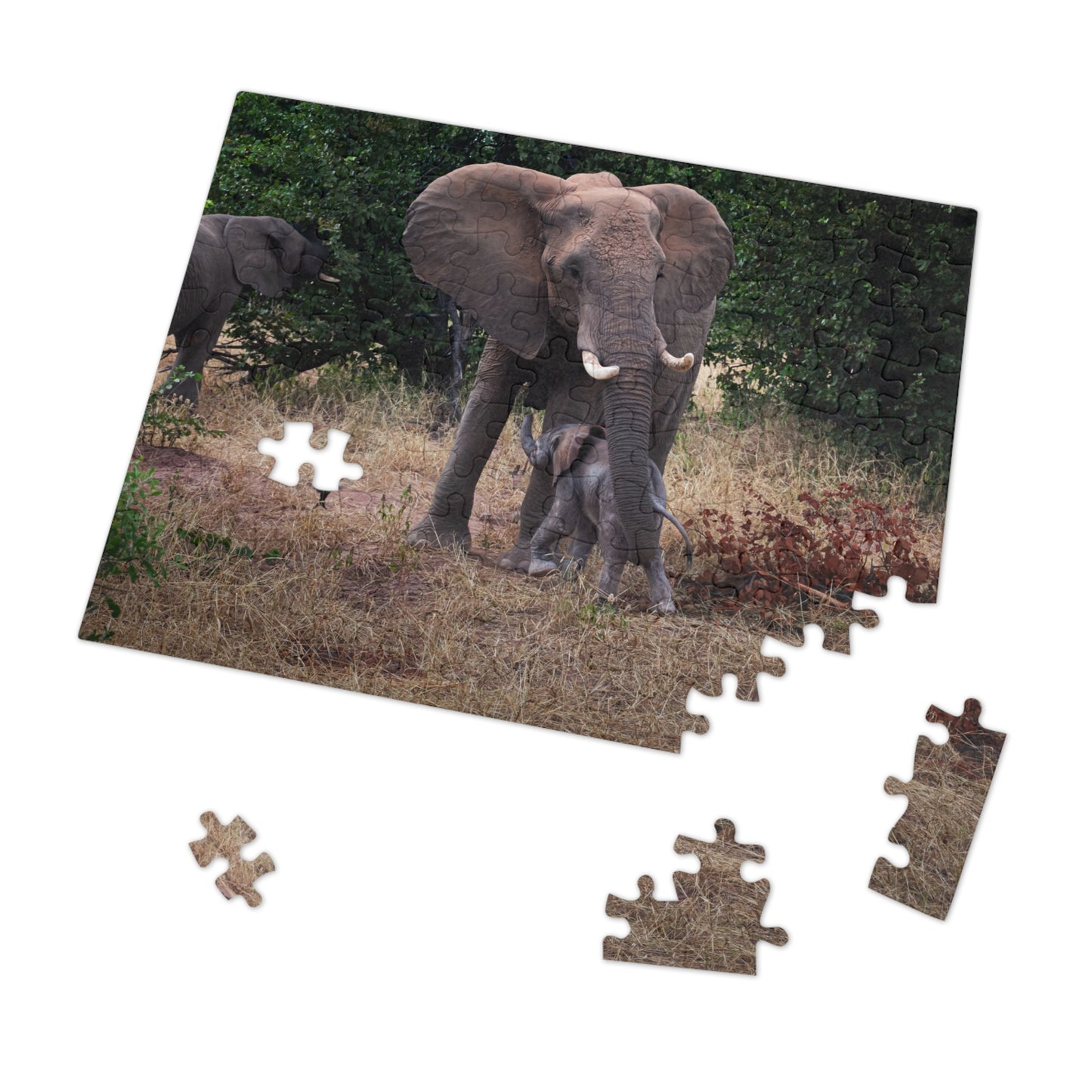 Jigsaw Puzzle (30, 110, 252, 500, 1000 Piece) - Elephant and Calf