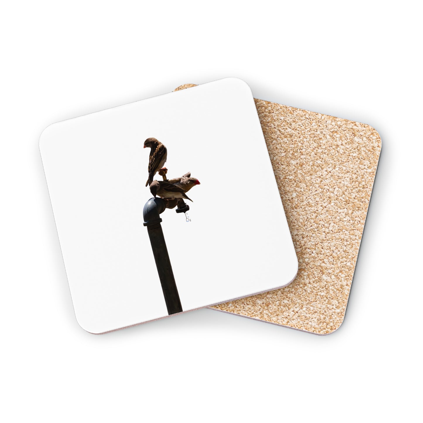 African Birds Coasters Square 3.7" x 3.7" 1pc