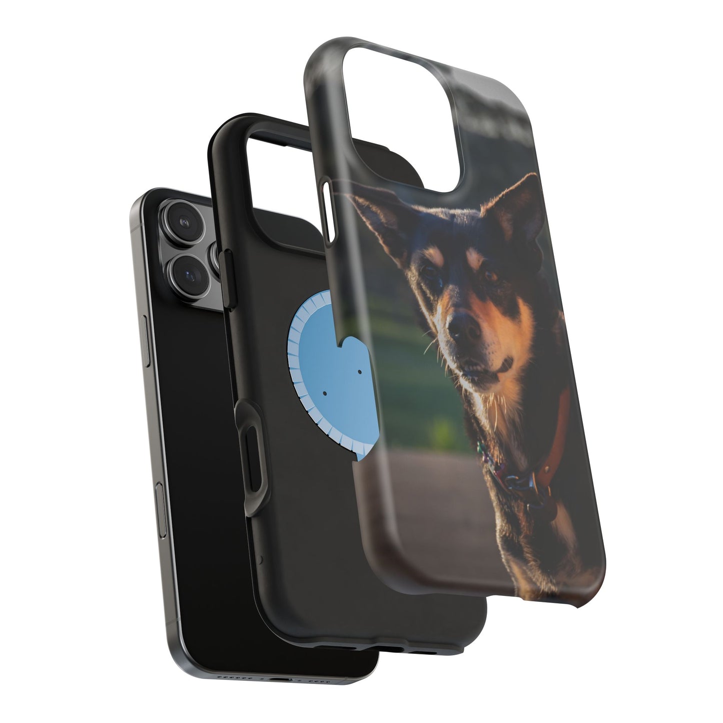 Magsafe® Compatible Tough Cases - Saba The Kelpie