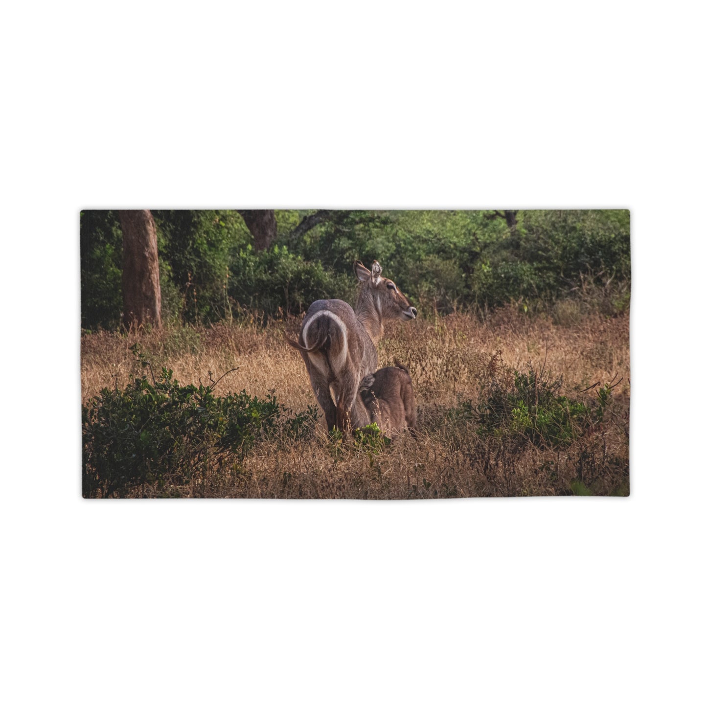 Beach Towels - Waterbuck and Baby