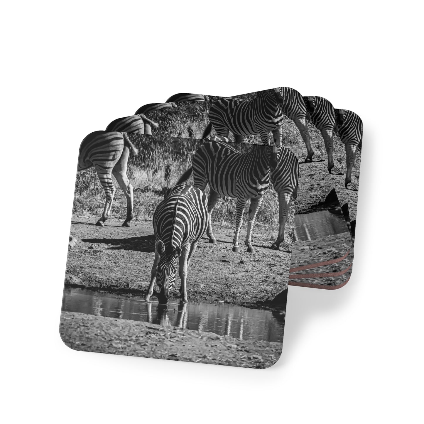 Drinking Zebra Coasters B&W Square 3.7" x 3.7" 4pcs