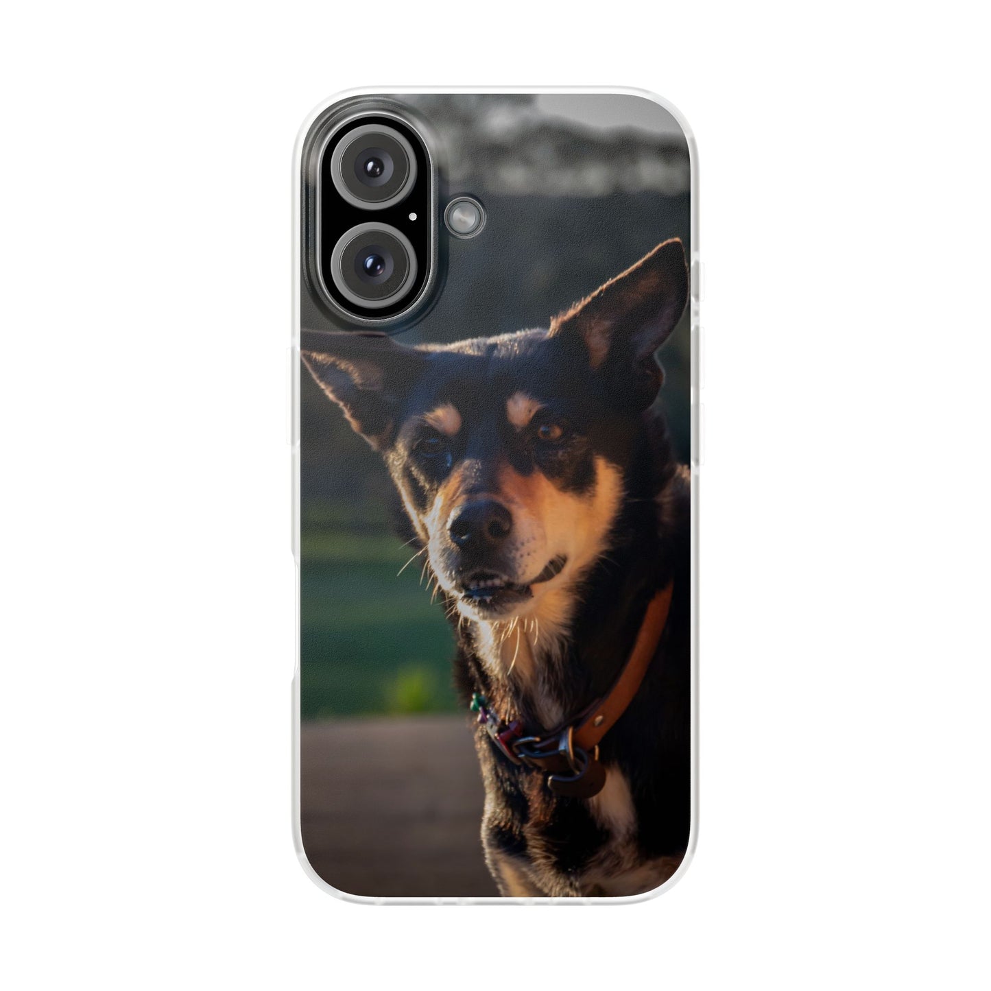 Flexi Cases - Saba the Kelpie