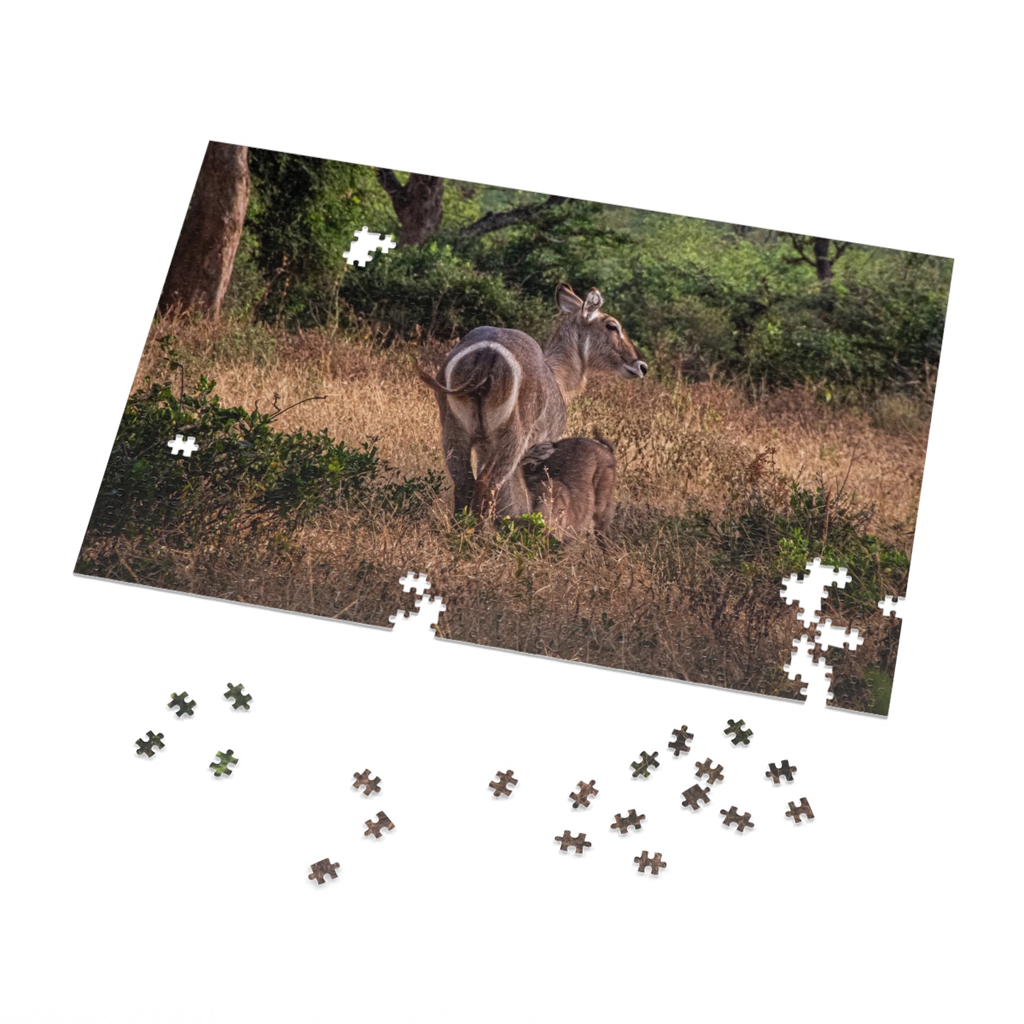 Jigsaw Puzzle (30, 110, 252, 500, 1000 Piece) - Waterbuck and Baby