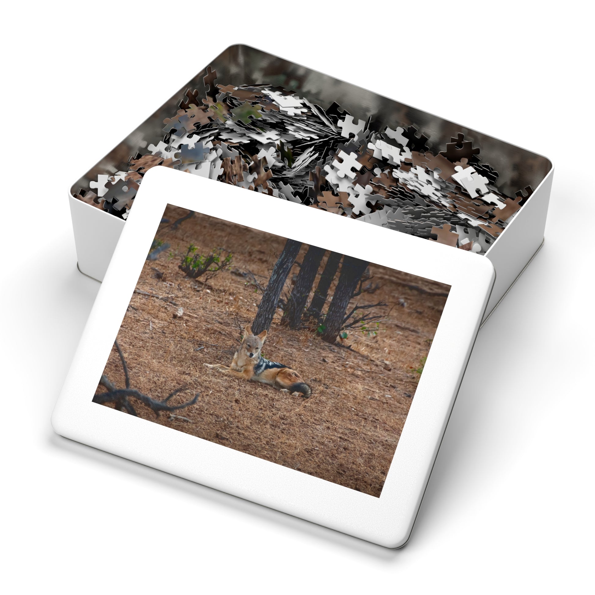 Jackal Photo Jigsaw Puzzle with Tin