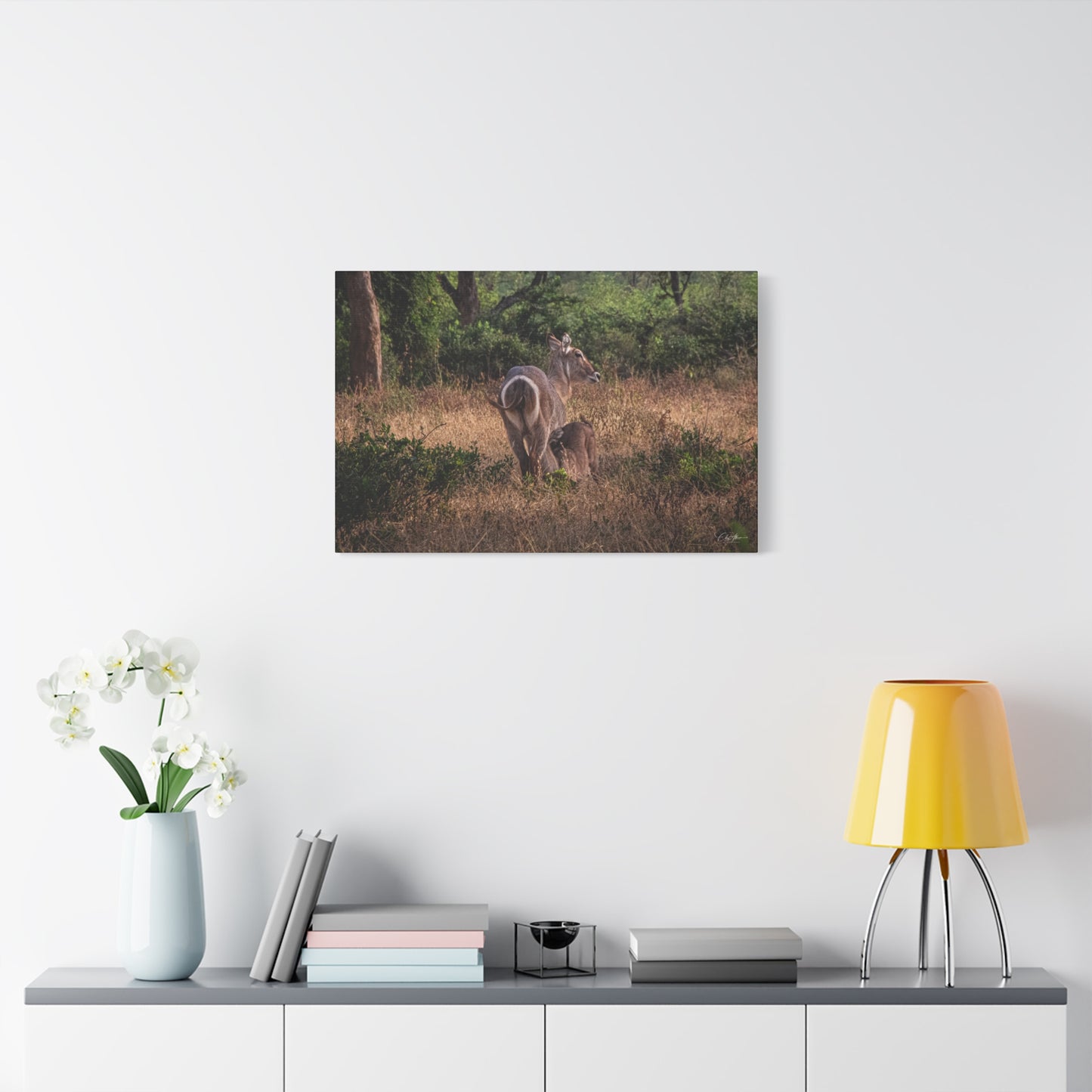 Matte Canvas, Stretched, 1.25" - Waterbuck and Baby