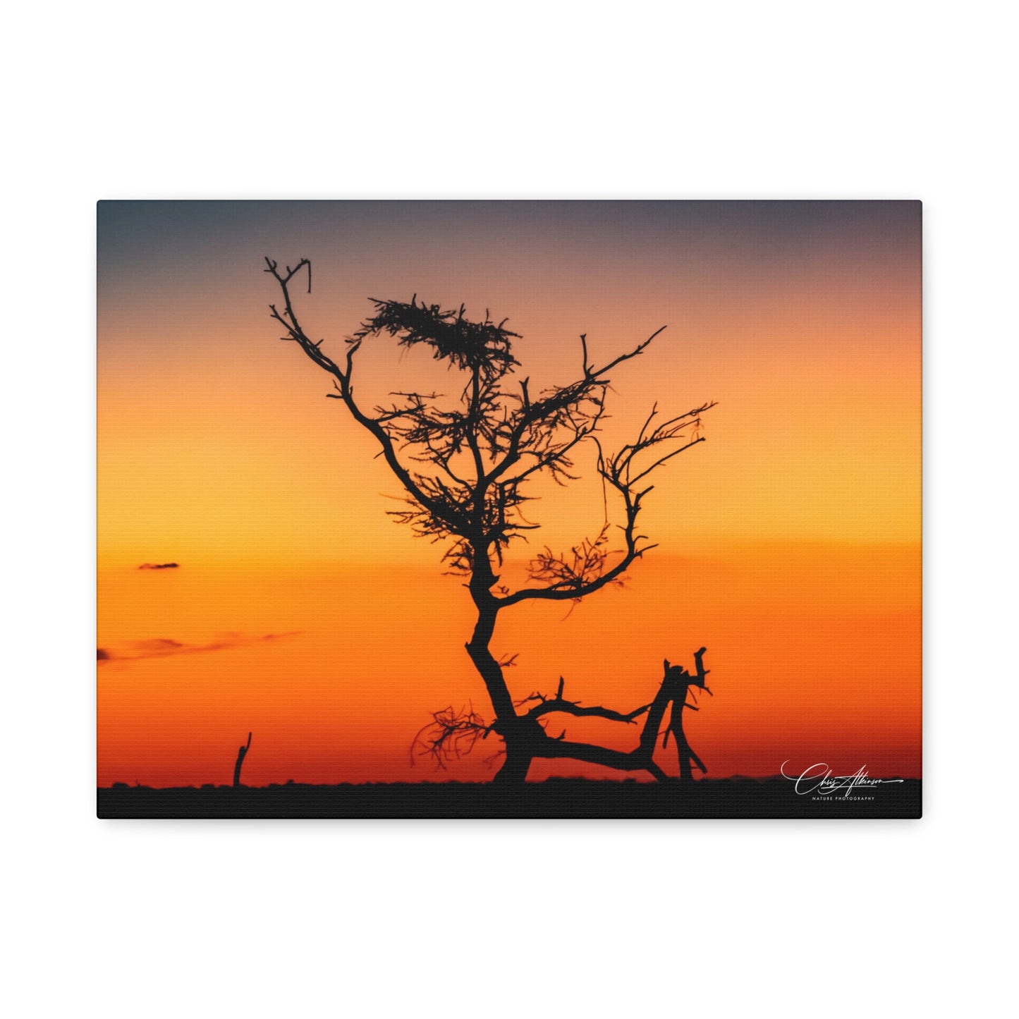 Matte Canvas, Stretched, 1.25" - Sunset over the Kalahari