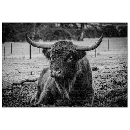 Scottish Highland Cattle Puzzle with Tin B&W