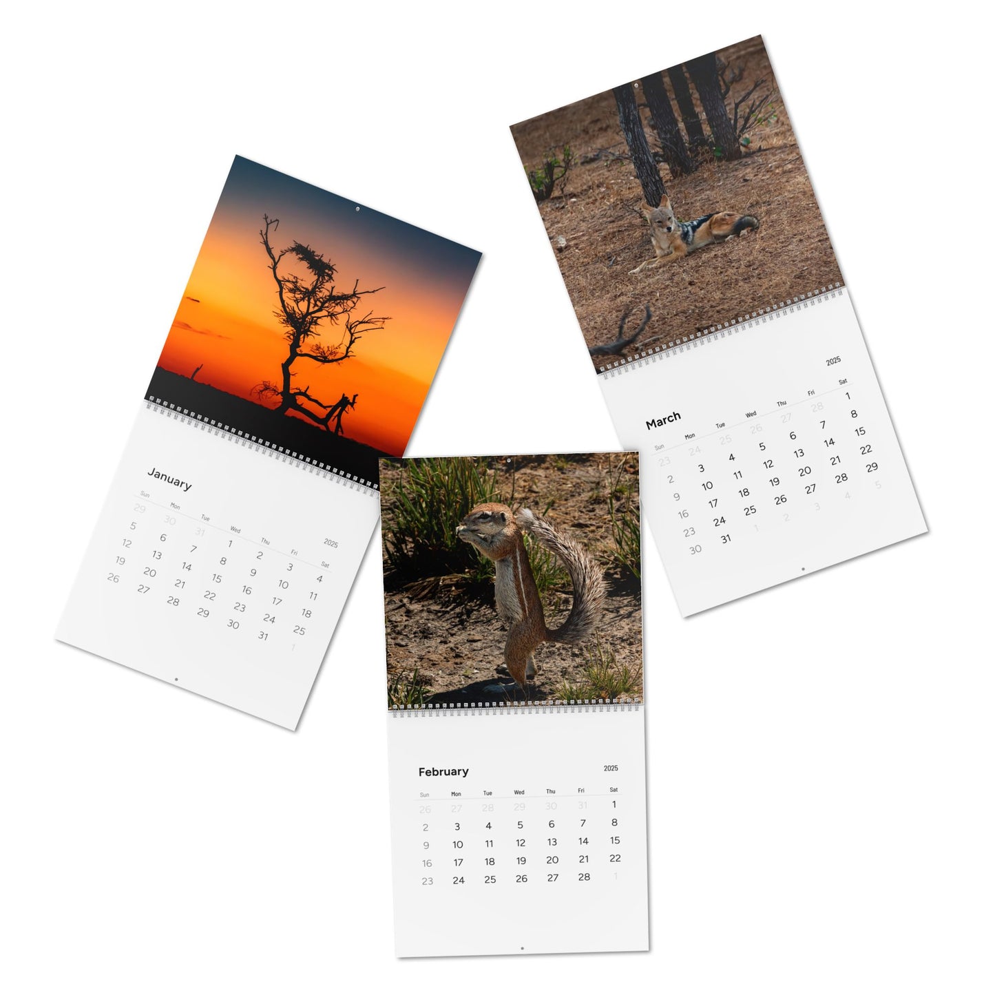 2025 Nature Wildlife Wall Calendar