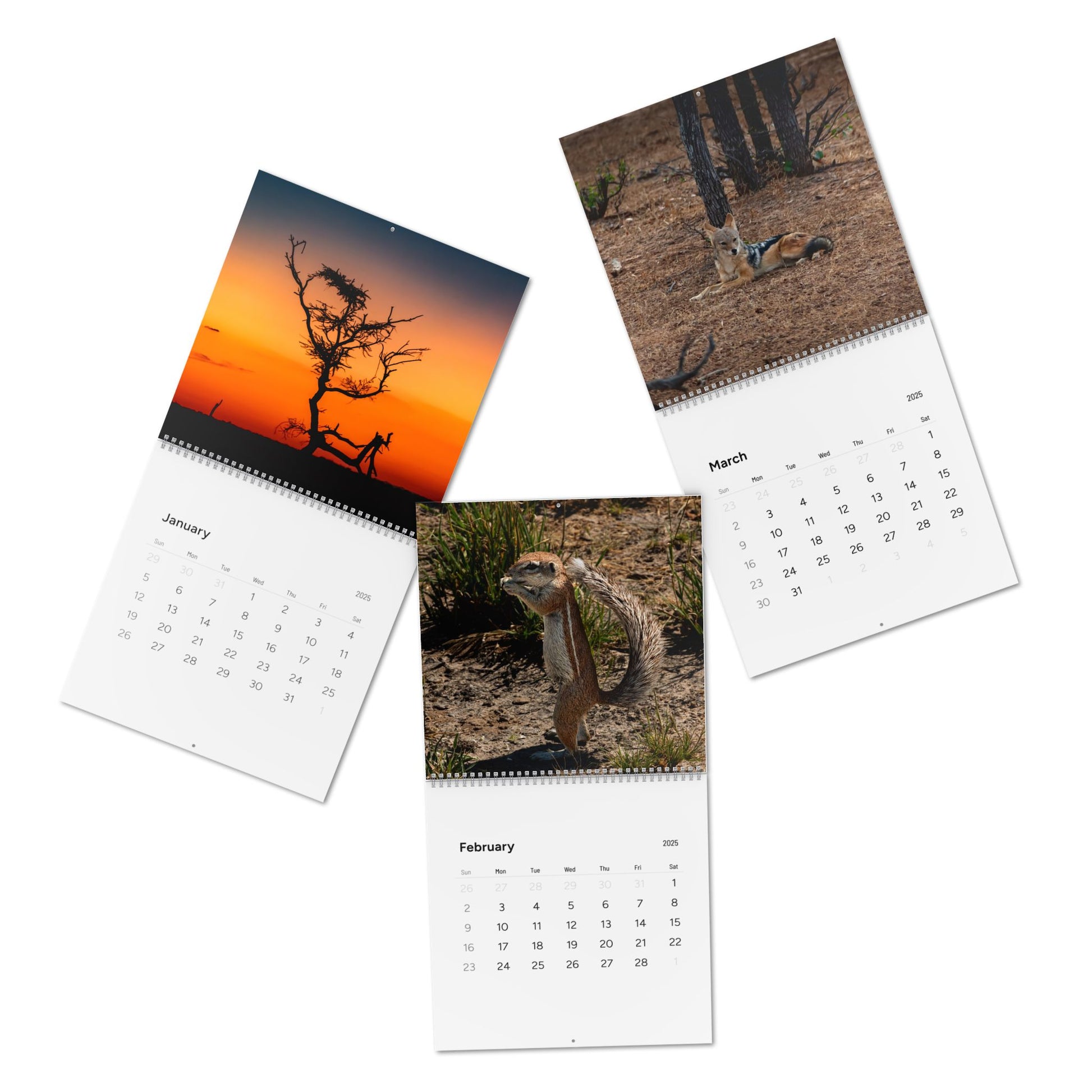 2025 Nature Wildlife Wall Calendar