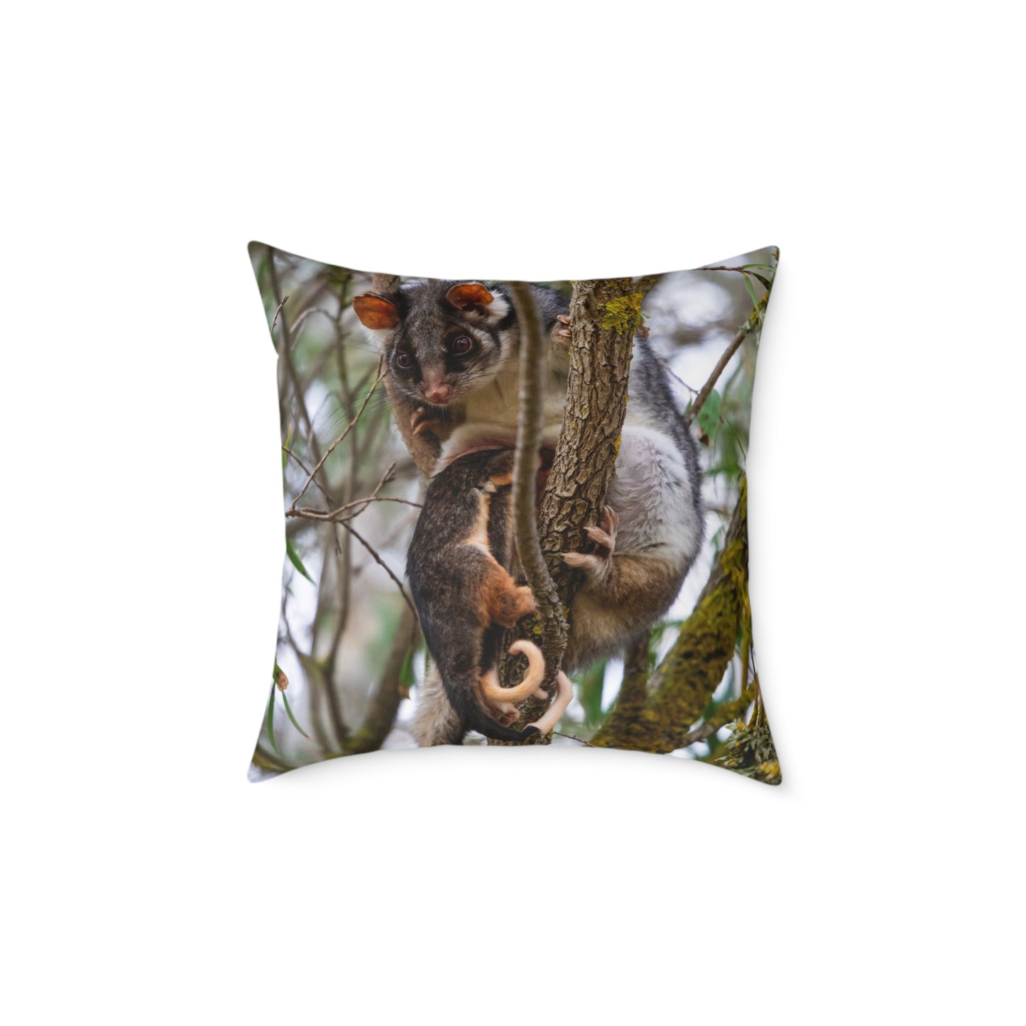 Ring-Tailed Possum Pillow 20" × 20"