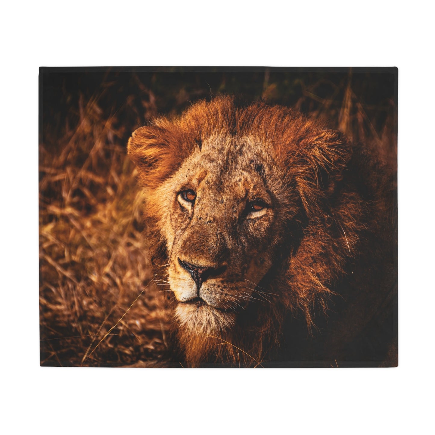 Lion Fleece Blanket 50" × 60"