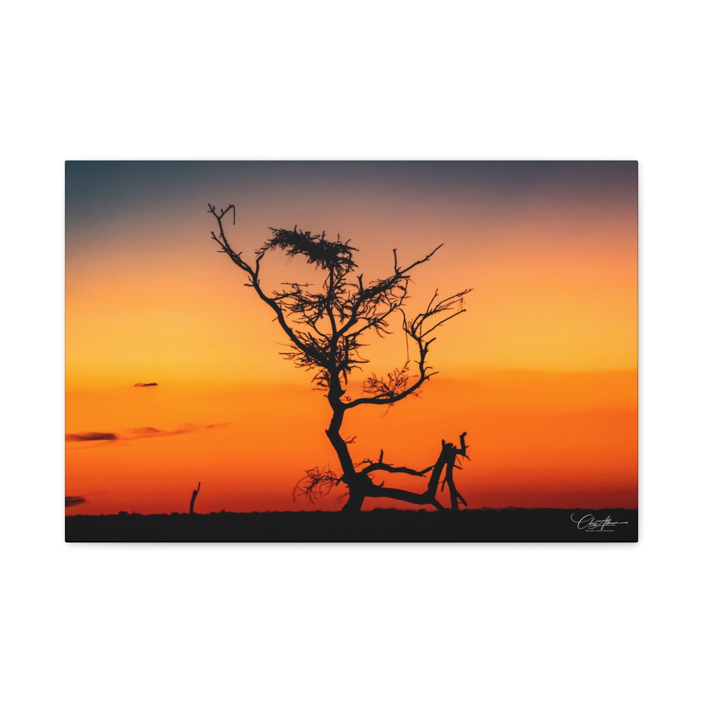 Matte Canvas, Stretched, 1.25" - Sunset over the Kalahari