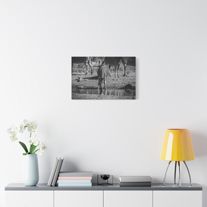 Zebra Nature Print Canvas Print B&W